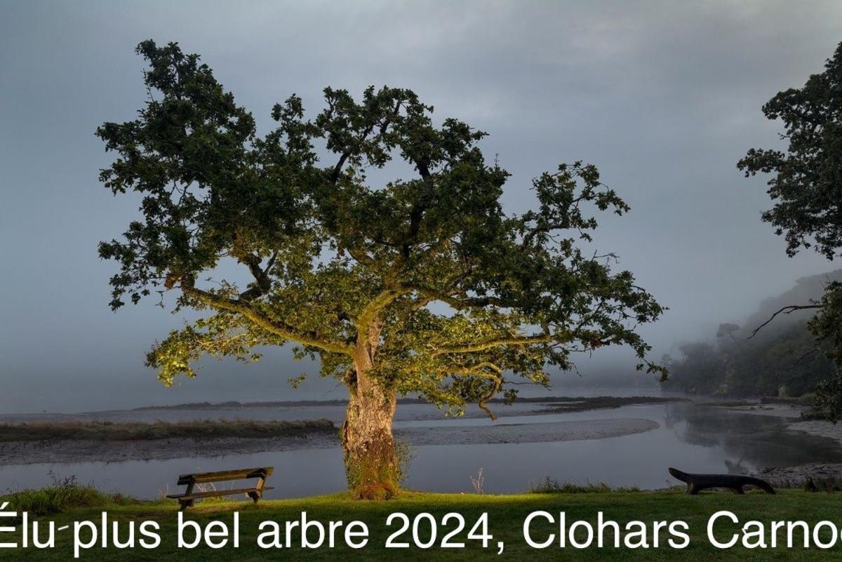 Ty Glazu Doelan Espace 60M2, Port& Criques A Pied, 2 Chambres Privees Au 1Er Etage, Sdb, Wc Separe Clohars-Carnoet Exterior photo